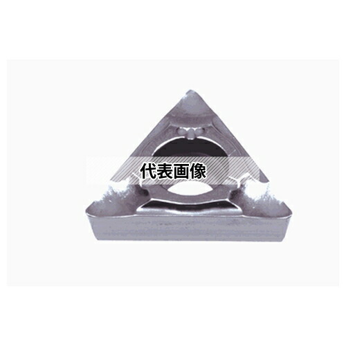 緑であること活動の領域