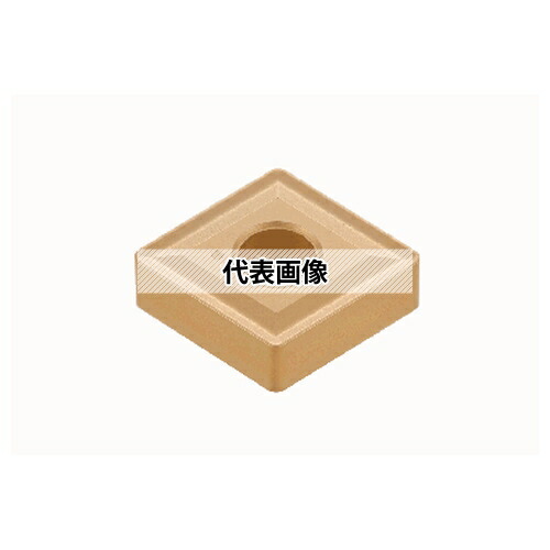 緑であること活動の領域