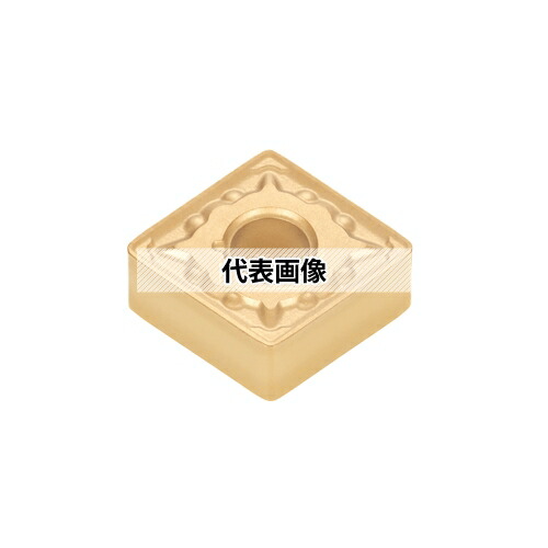 緑であること活動の領域