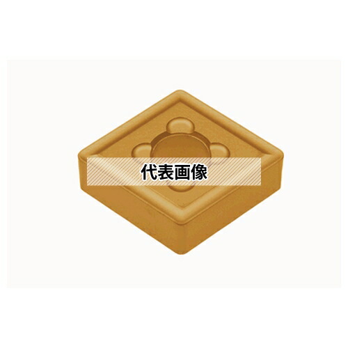 緑であること活動の領域