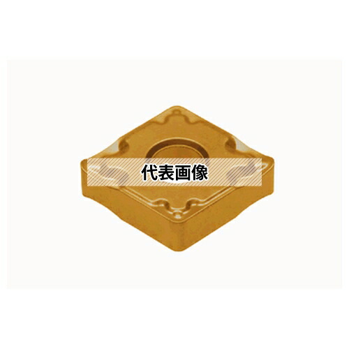 緑であること活動の領域