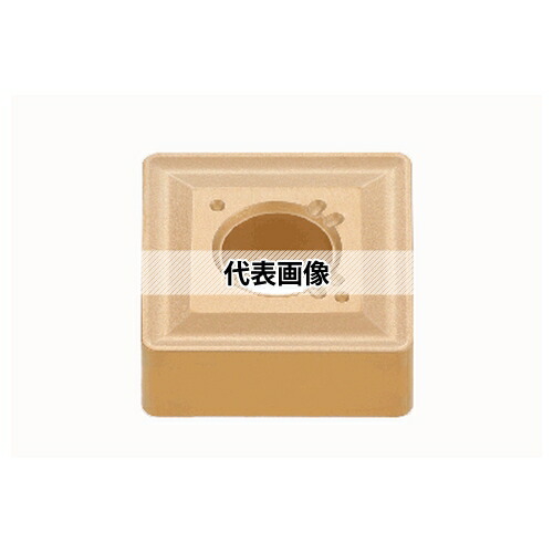 緑であること活動の領域