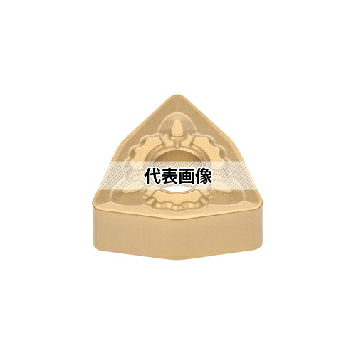 緑であること活動の領域