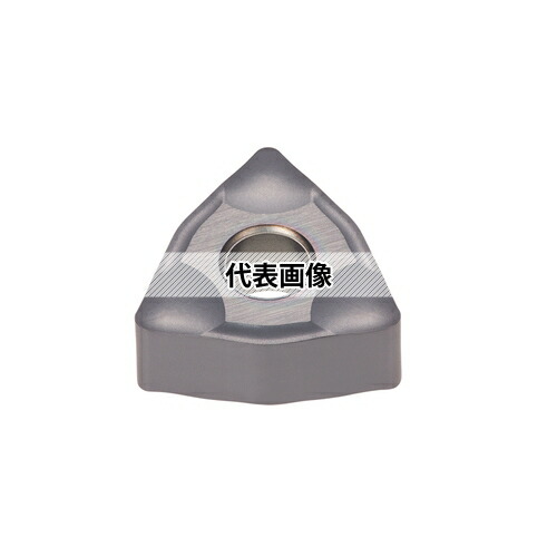 緑であること活動の領域