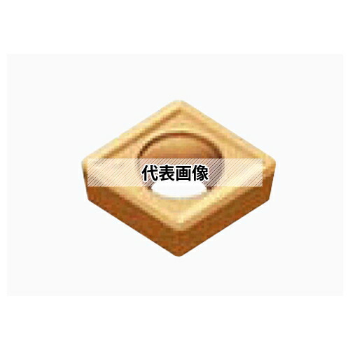 緑であること活動の領域