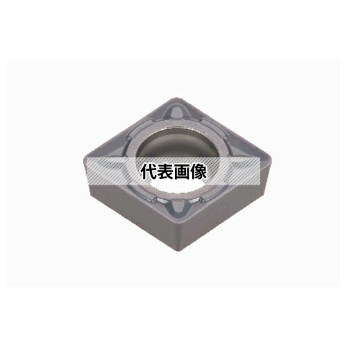緑であること活動の領域