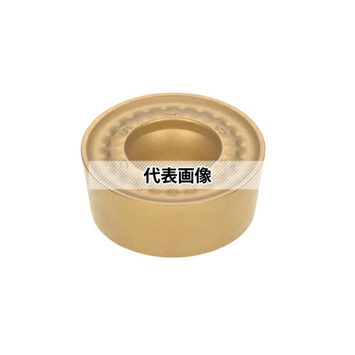 緑であること活動の領域