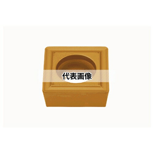 緑であること活動の領域