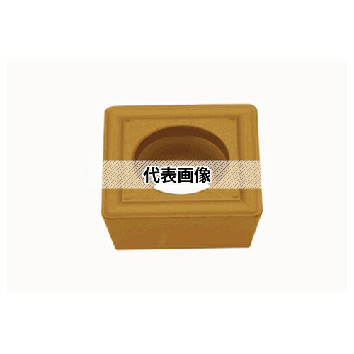 緑であること活動の領域