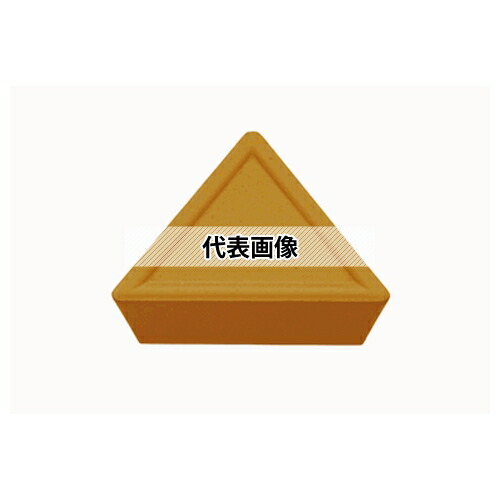 緑であること活動の領域
