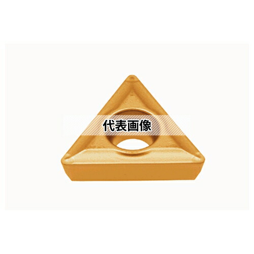 緑であること活動の領域