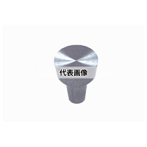 緑であること活動の領域