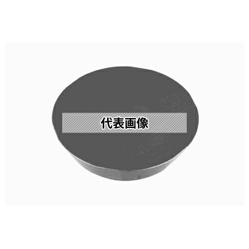 タンガロイ 転削用 C.E級インサート RFEN2004 RFEN2004ZFTN:UX30×10セット