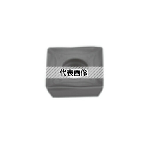 緑であること活動の領域