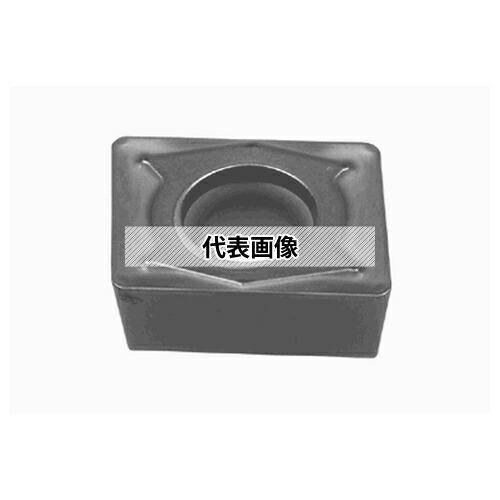 緑であること活動の領域