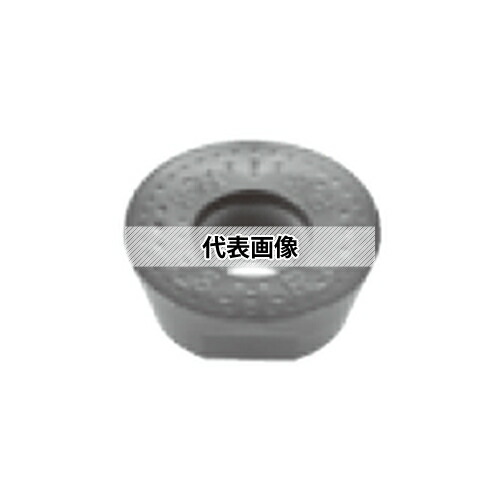 緑であること活動の領域
