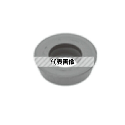 緑であること活動の領域