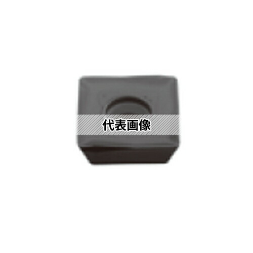 緑であること活動の領域