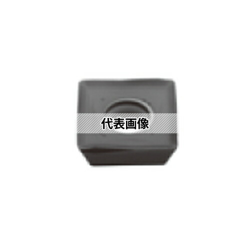 緑であること活動の領域