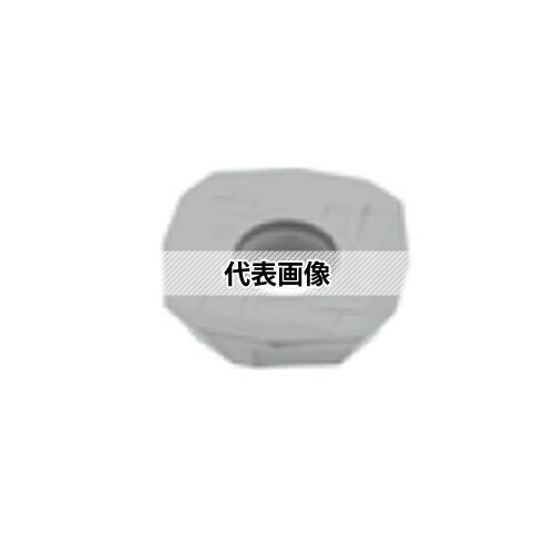 緑であること活動の領域