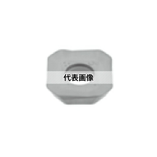 緑であること活動の領域