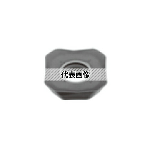 緑であること活動の領域