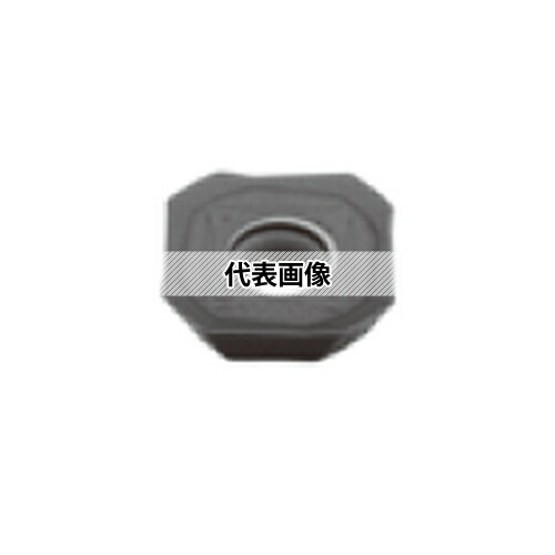 緑であること活動の領域