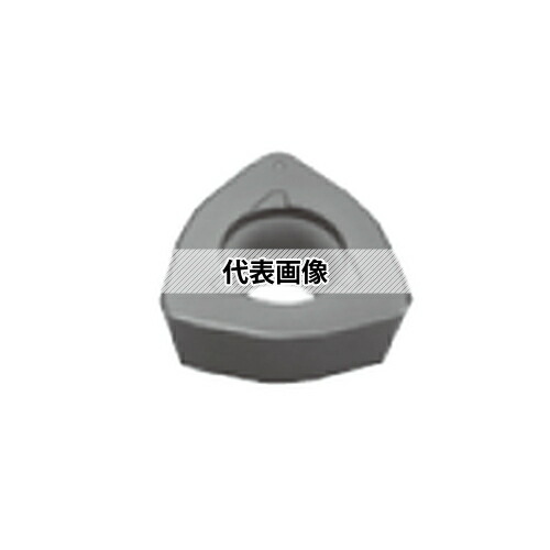 緑であること活動の領域