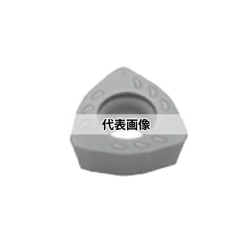 緑であること活動の領域