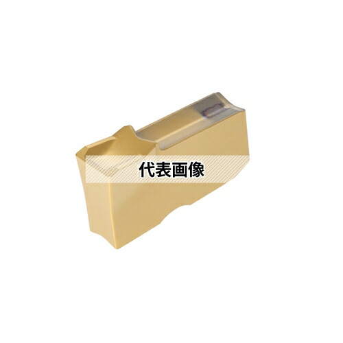 タンガロイ 転削用 特殊インサート SSM SSM31N:GH130×10セット 11,871円