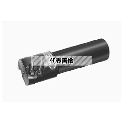 緑であること活動の領域