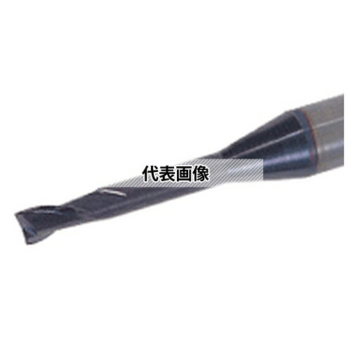 緑であること活動の領域