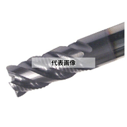緑であること活動の領域