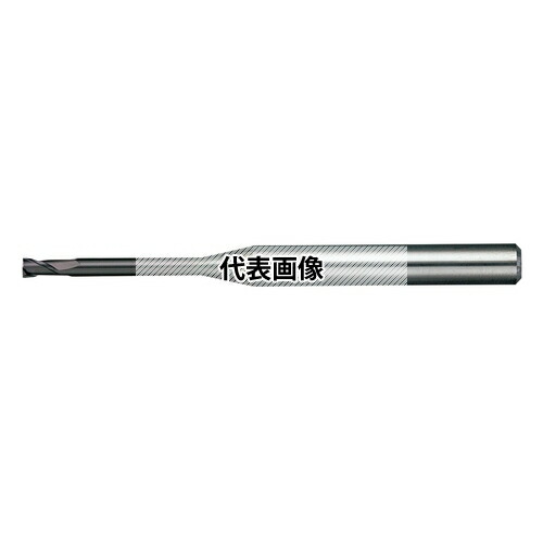 緑であること活動の領域