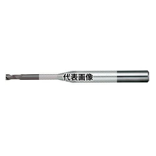 緑であること活動の領域