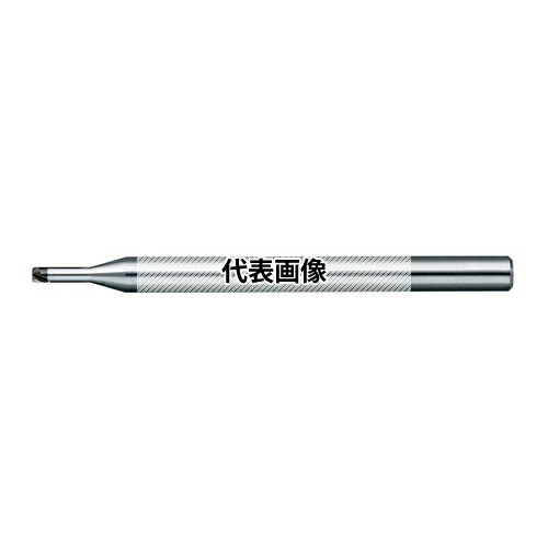 緑であること活動の領域