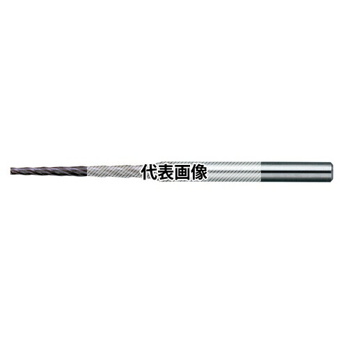 緑であること活動の領域