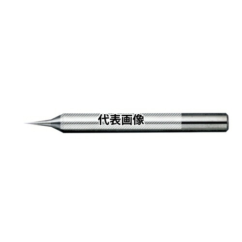 緑であること活動の領域