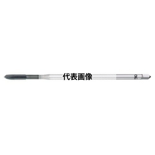 緑であること活動の領域