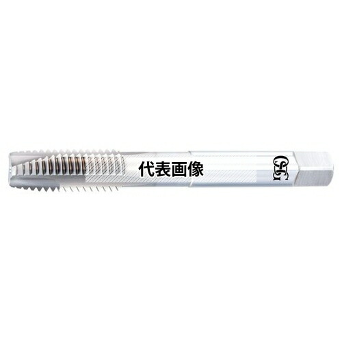 緑であること活動の領域