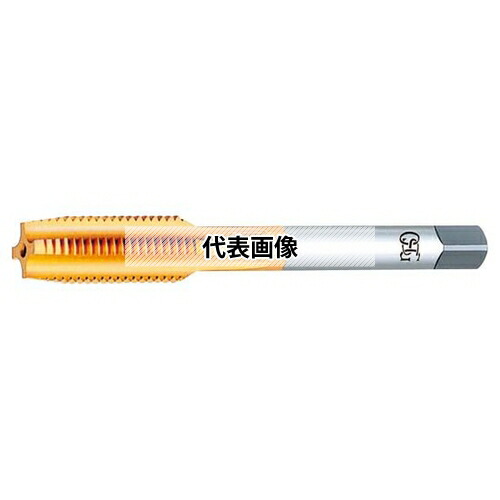 緑であること活動の領域