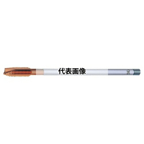 緑であること活動の領域