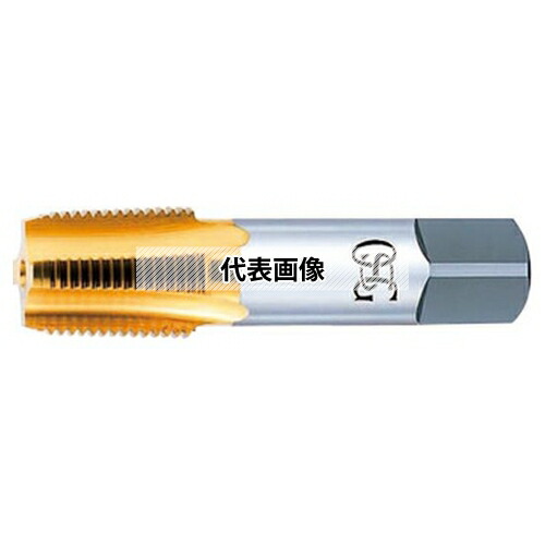 緑であること活動の領域
