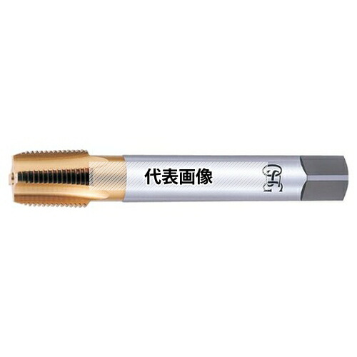 緑であること活動の領域 ねじ切りタップ-穴あけ工具用アクセサリー