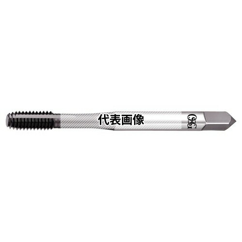 緑であること活動の領域