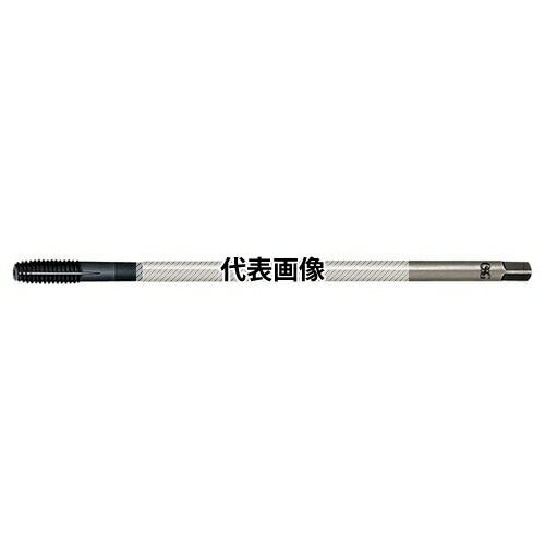 緑であること活動の領域