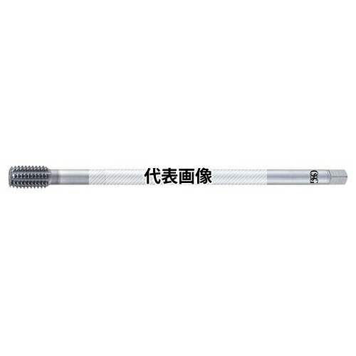 緑であること活動の領域