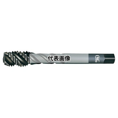 緑であること活動の領域