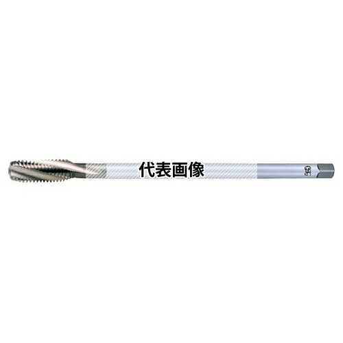 緑であること活動の領域