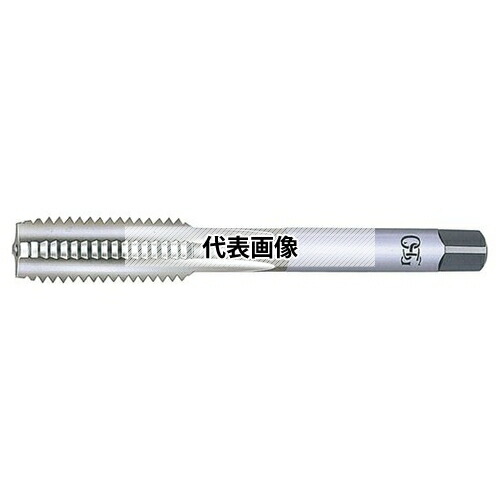 緑であること活動の領域